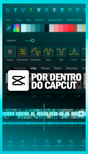 edicao-braba-fernando-araujo-brabo-academy